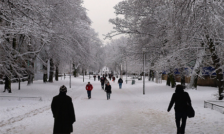 Edinburgh Meadows snow by Callum MacLellan