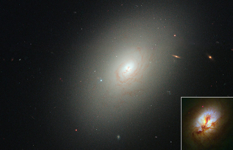 Week in wildlife: Hubble Space Telescope, reveal star birth in the ancient elliptical galaxy