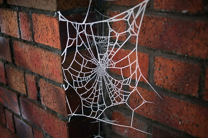 More Snow: Freezing Temperatures Sweep The UK