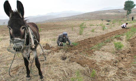china desert 2010 review