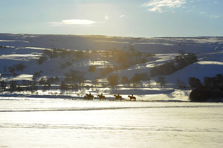 More Snow: Racehorses are exercised on snow covered gallops in Middleham