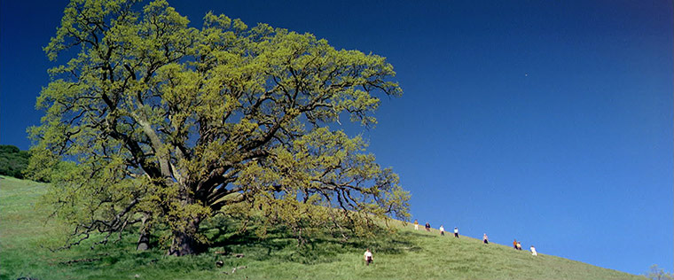 Philippe Parreno: <em>June 8, 1968</em> (2009)