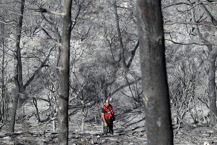 24 hours in pictures: n Israeli firefighter searches for vicitms among burned trees