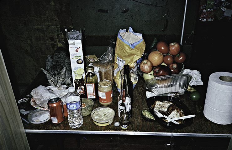 The xx: A cat sneaks backstage to finish off the band's rider in New York City