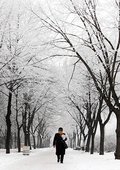 24 hours in pictures: Belgrade, Serbia: A woman walks in a snow covered park