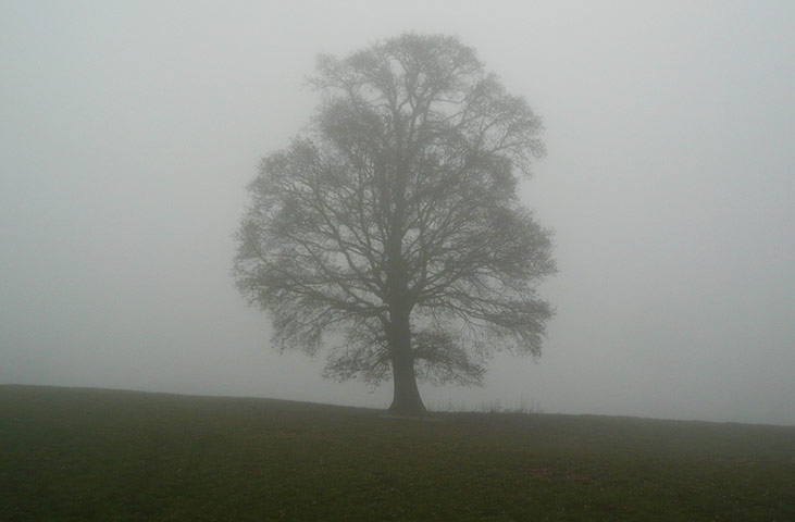 My week in pics: Logan: Welsh countryside