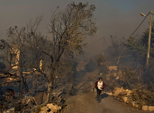 Israel forest fire: A local resident carrying a bucket runs through a burnt area in Ein Hod