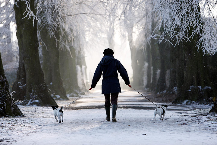 Snow and frost: Winter weather Dec 6th