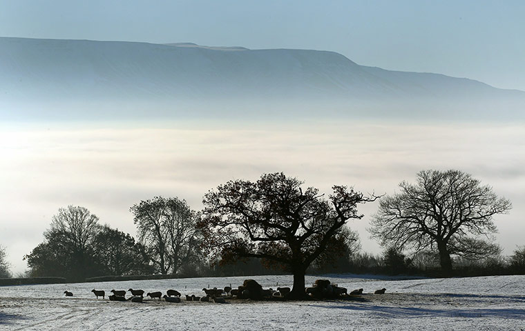 Snow and frost: Daily Bucket