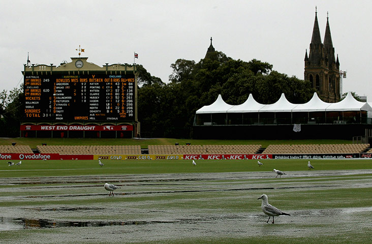 Ashes gallery: Ashes gallery 2