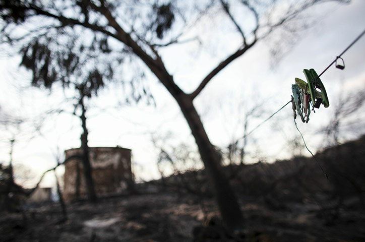 24 hours: israeli wildfires aftermath