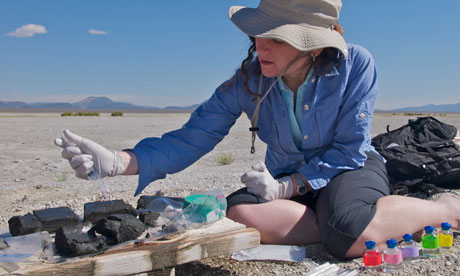 Felisa Wolfe-Simon at Mono Lake in California | Arsenic bacteria