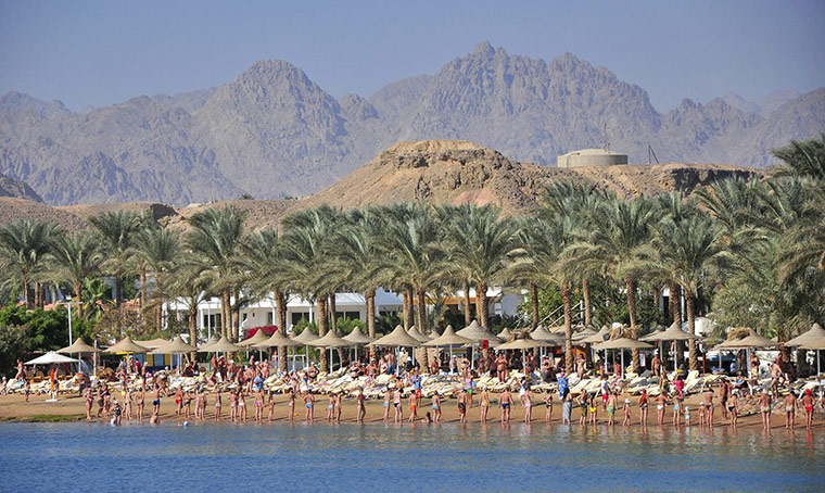 Egypt shark attack: tourists on the beach