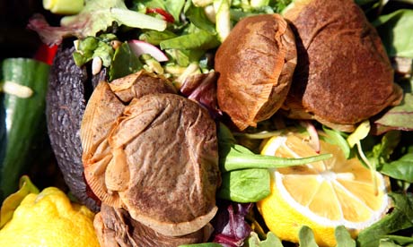 food waste vison 2011