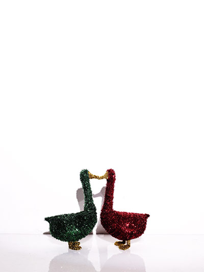 Fashion shoot: Xmas Day: Fashion shoot: Xmas Day