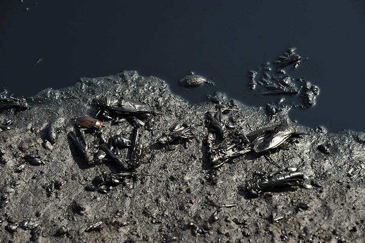 ROBERTO SCHMIDT 2: from the agencies in Sudan 