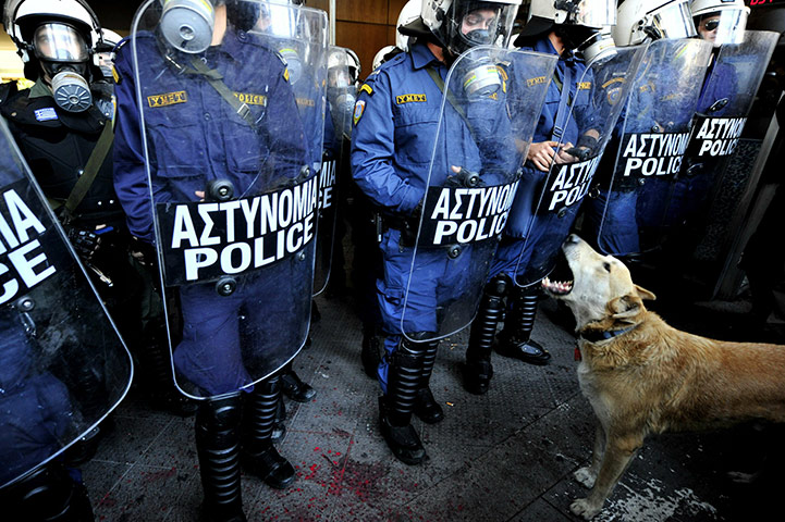 24 hours in pictures: A dog barks in front of Greek riot police in central Athens 