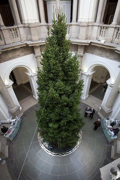 Tate Christmas Trees: Tate Britain Christmas Trees