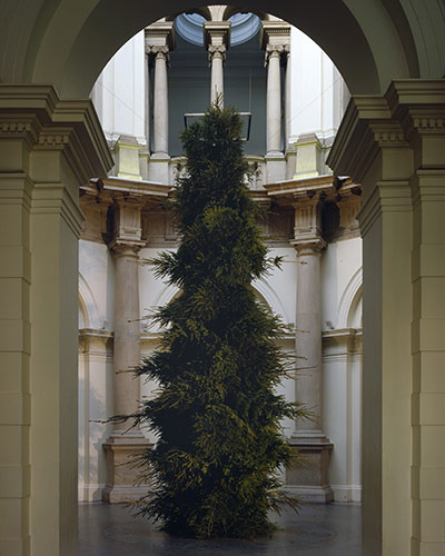 Tate Christmas Trees: Tate Britain Christmas Trees
