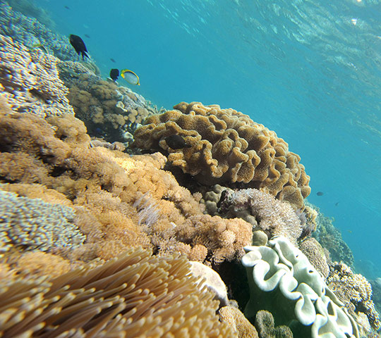 week in wildlife: In this photograph taken December 2, 201