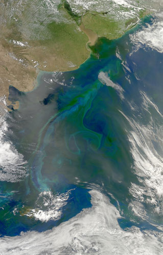 Satellite Eye on Earth: Patagonian Bloom, Argentina