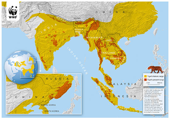 Endangered tigers: Map for tiger