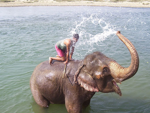 In Pictures: Clean: Reader's photo of an elephant spraying a child with water