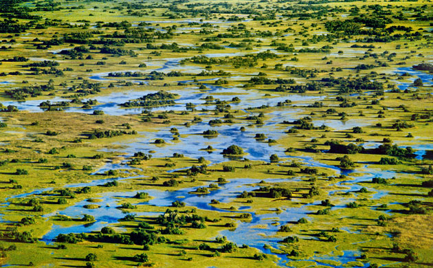 Okavango Delta: Marshes in Okavango Delta in Botswana