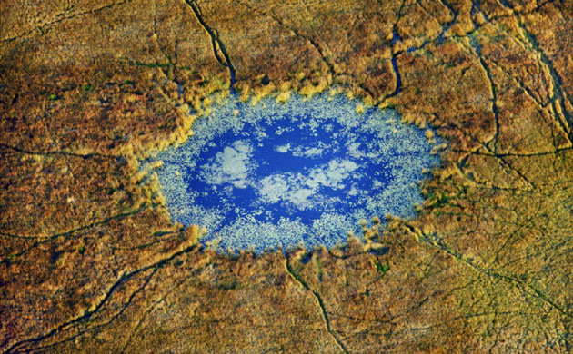 Okavango Delta: Water Hole in the Okavango Delta