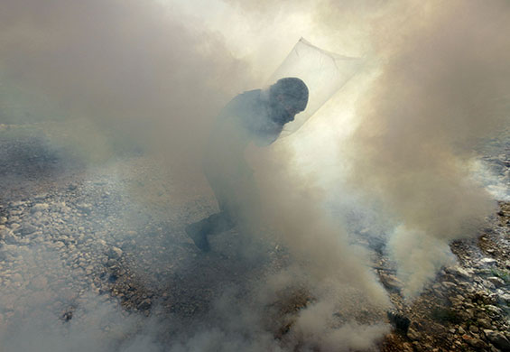 West Bank demonstration: A Palestinian protester runs to throw back a tear gas canister
