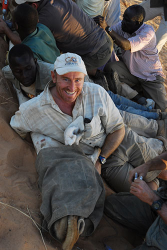 Giraffe GPS: West African giraffe GPS collar