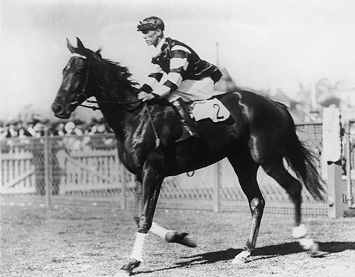 Australian Superstars: Australian race horse Phar Lap 1929