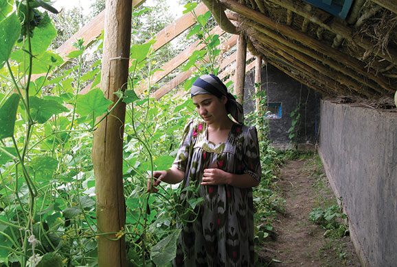 Tajikistan Climate: Tajikistan An Oxfam built solar greenhouse, Vose District, south Tajikistan
