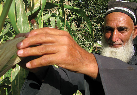 Tajikistan Climate: Turaqulov Saidmuzator, a farmer in Temumalik District Tajikistan