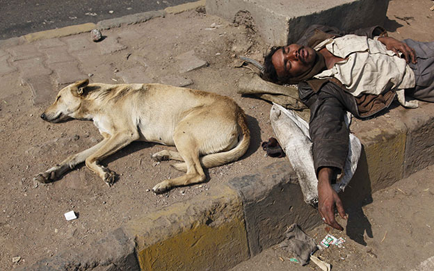 24 hours in pictures: New Delhi, India: A homeless man sleeps next to a stray dog