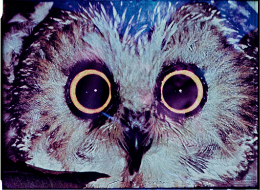 Guide gallery 20/02: Kenneth Anger