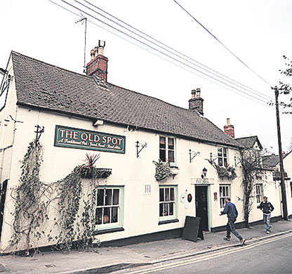 10 best pubs: The Old Spot Inn