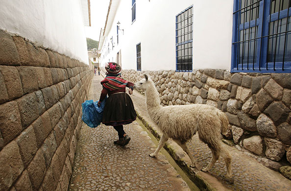 24 hours in pictures: Cuzco, Peru: An Andean woman walks with her llama 