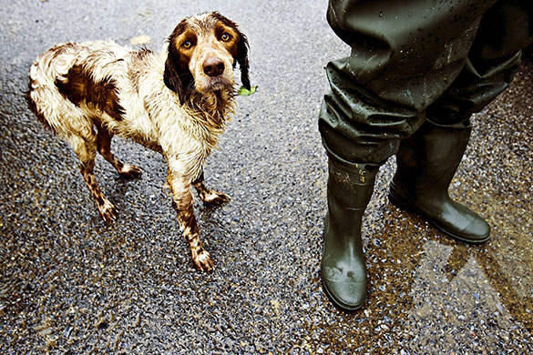 24 hours in pictures: Wet dog stands by it owner during the heavy rainstorms Malaga, Spain