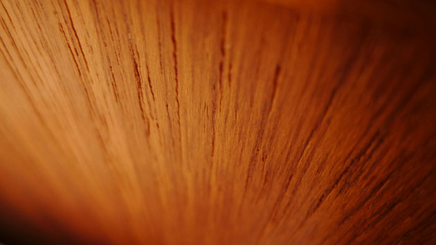 Tim Boss 81 macro: Tim Boss 81 participates in the macro photography monthly assignment