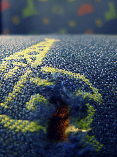 Tim Boss 81 macro: Tim Boss 81 participates in the macro photography monthly assignment