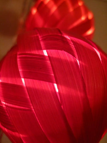 Jrwhippet's macro: Jrwhippet participates in the macro photography monthly assignment