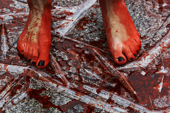 24 hours in pictures: Madrid, Spain: The feet of an animal rights activist