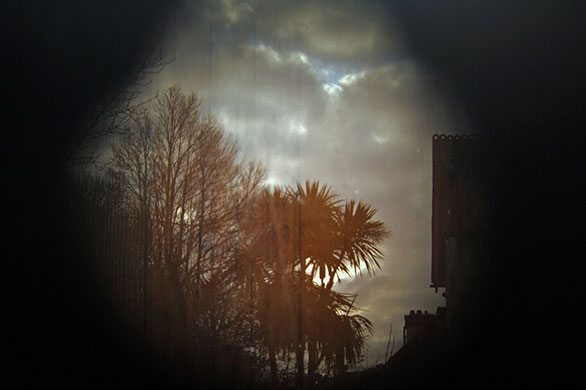 Sara Harnett's portfolio: A review of Sara Harnett's portfolio