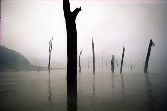 Kai Murphy's portfolio: A review of Kai Murphy's portfolio