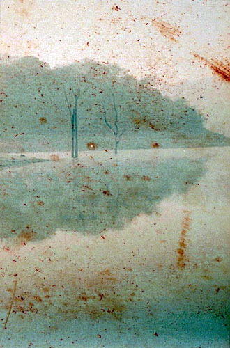 Kai Murphy's portfolio: A review of Kai Murphy's portfolio