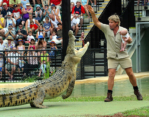 When animals kill: Steve Irwin hand feeding a crocodile with a dead chicken