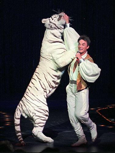 When animals kill: Roy of the world-renowned illusionists Siegfried & Roy