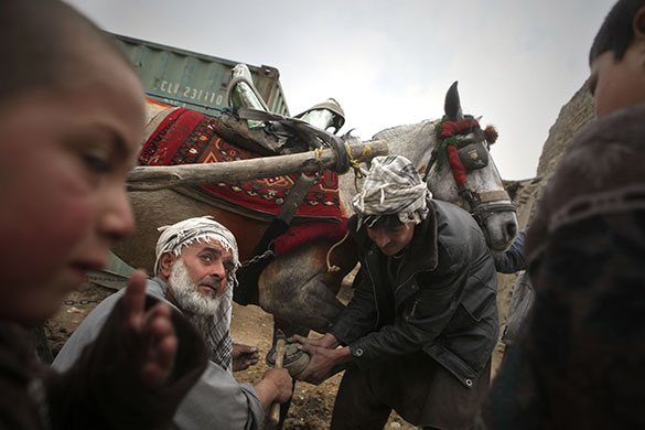 24 hours in pictures: Kabul, Afghanistan: Men fit a horseshoe to a horse