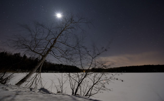 Week in Wildlife: A quarter moon in the night sky lights up snow on Wangum Lake near Norfolk
